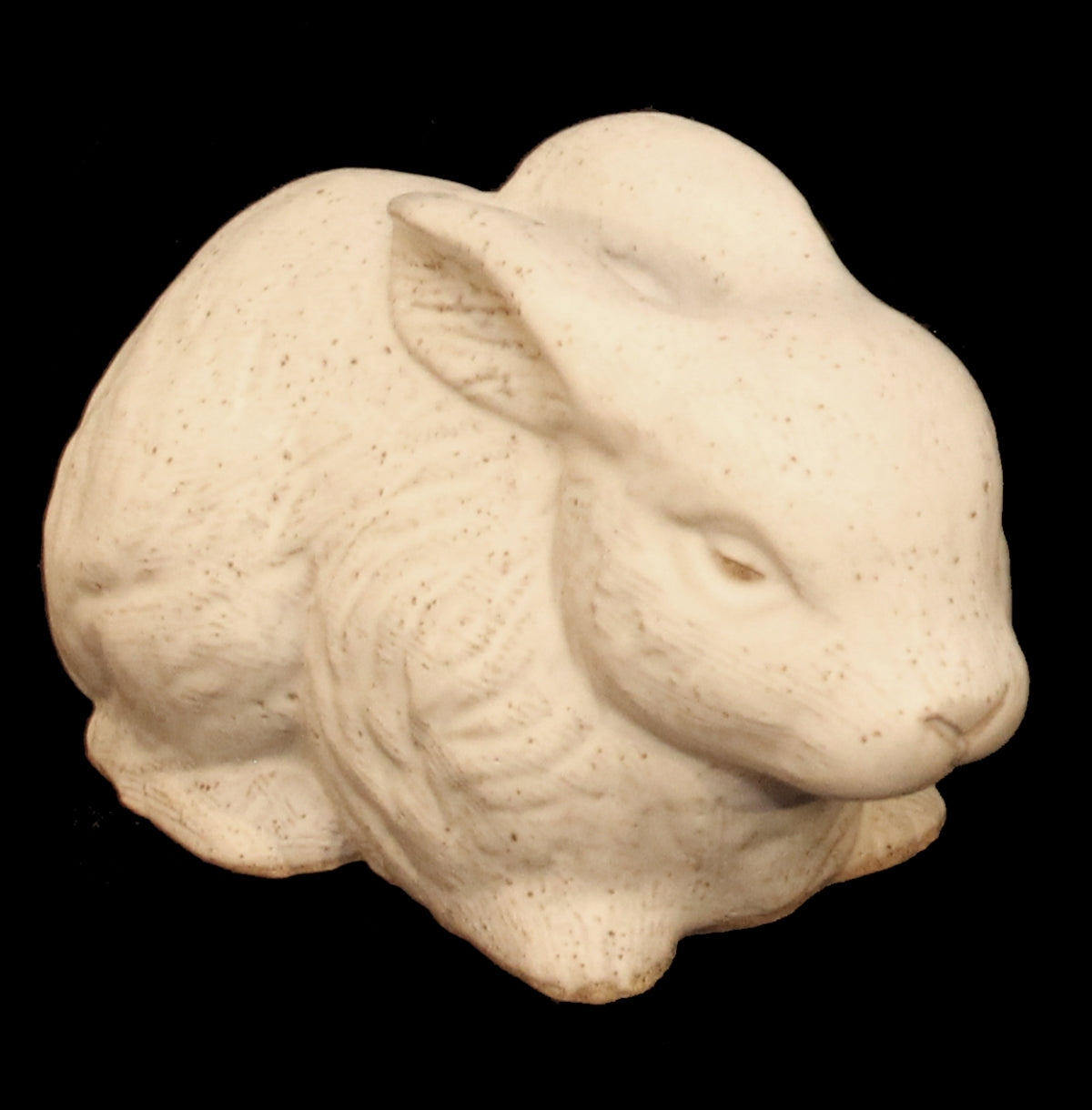 Peter Bunny