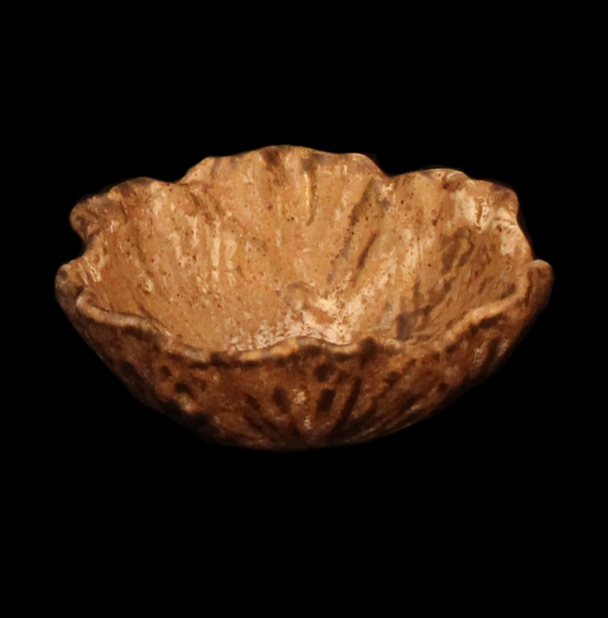 Small Cabbage Bowl