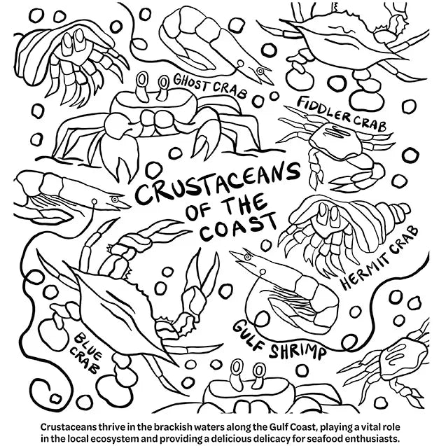 Coastal Mississippi Coloring Book