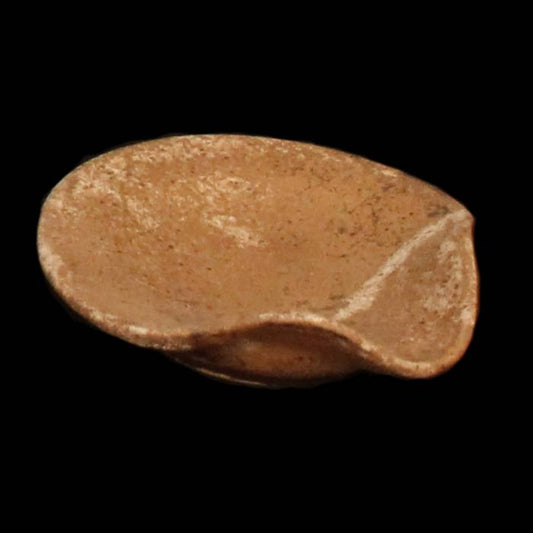 Spoon Rest