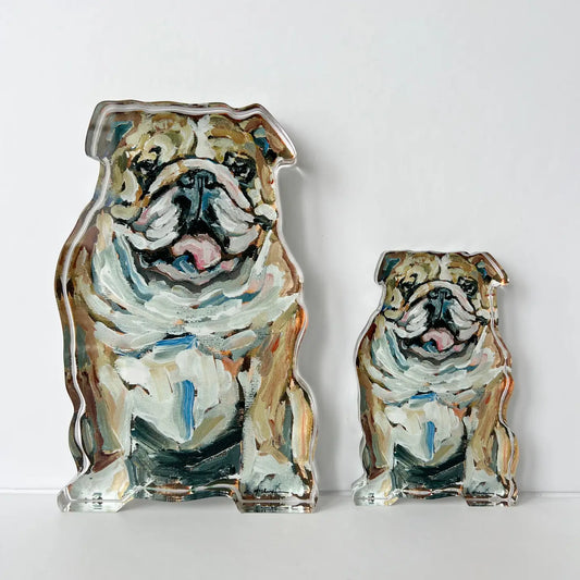 "Bulldog Fawn & White" Acrylic