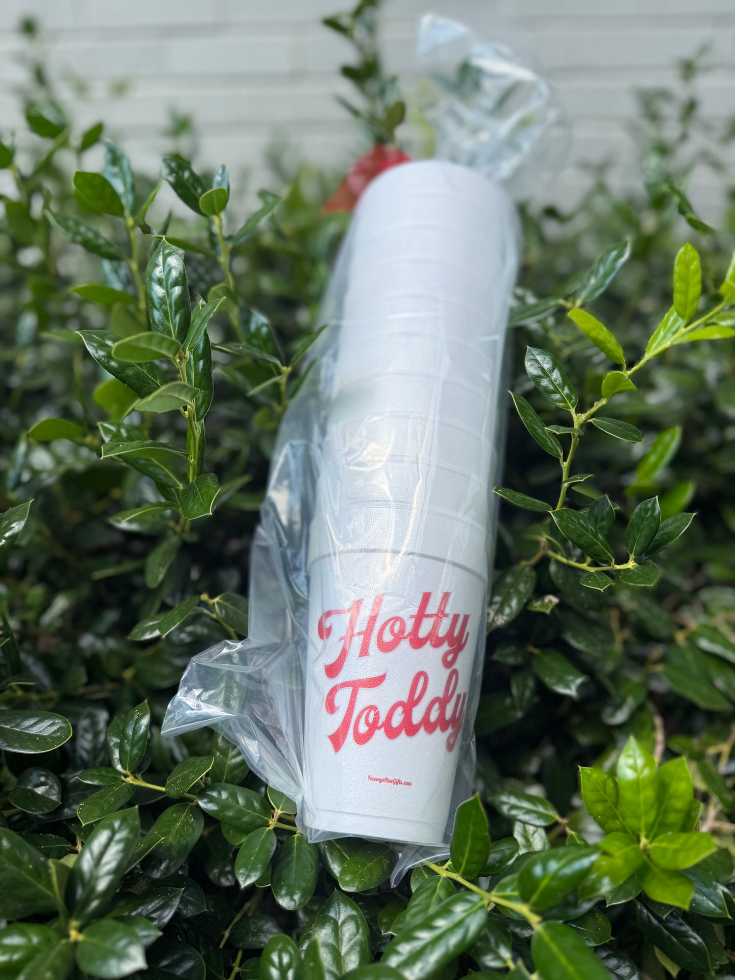 Styrofoam Cups 10ct-20oz