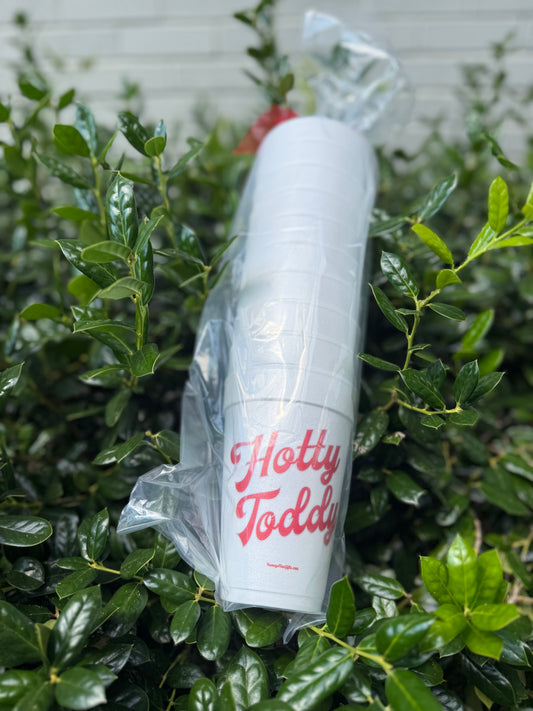Styrofoam Cups 10ct-20oz