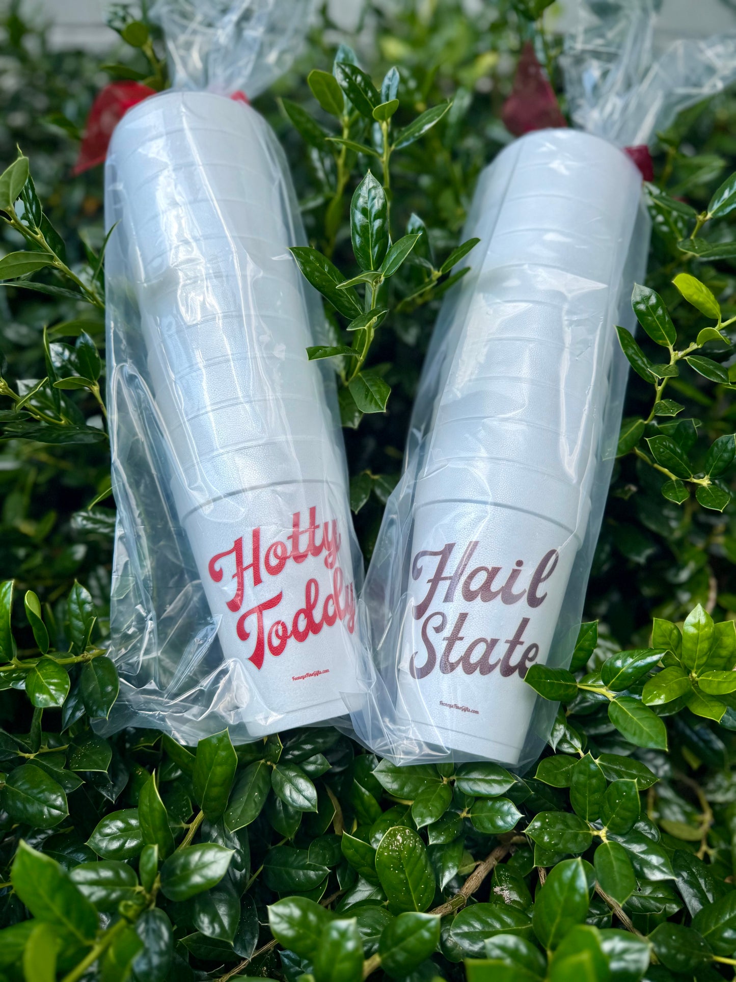 Styrofoam Cups 10ct-20oz