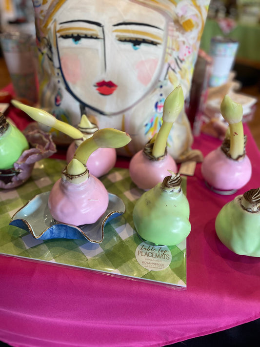 Wax Dipped Amaryllis bulbs