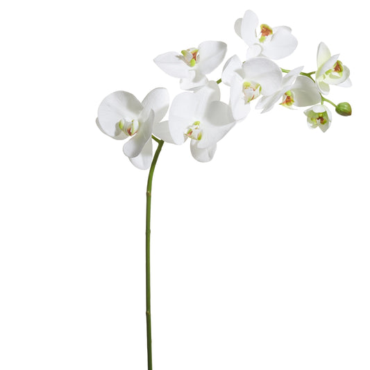 33.5" Real Touch White Phalaenopsis Stem