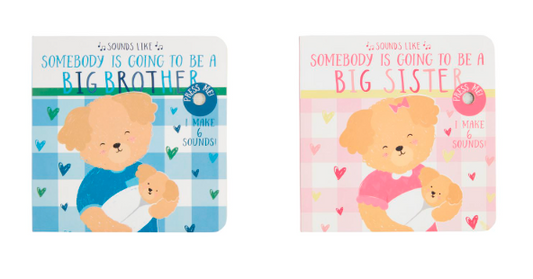 Sounds Like Big Brother & Big Sister Books