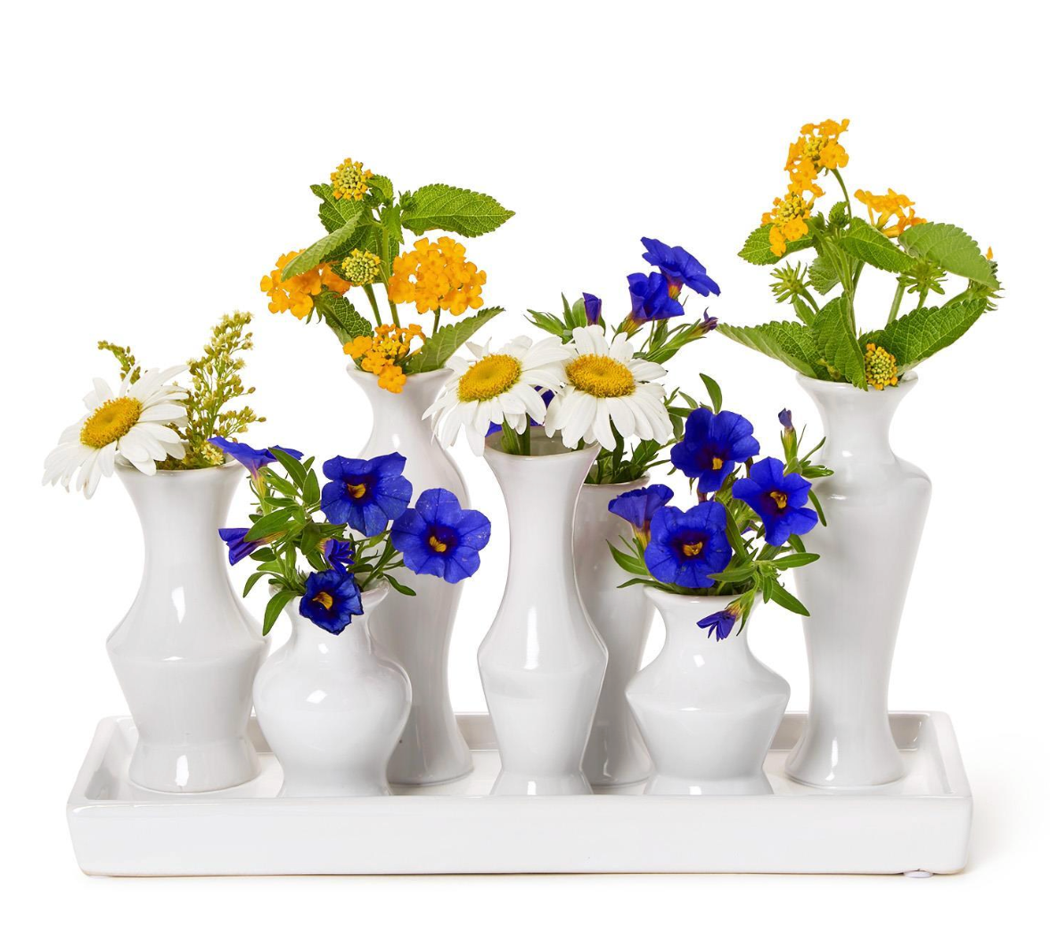 Symphony White Glaze Multi Vase with 7 Sections on Rectangular Platform