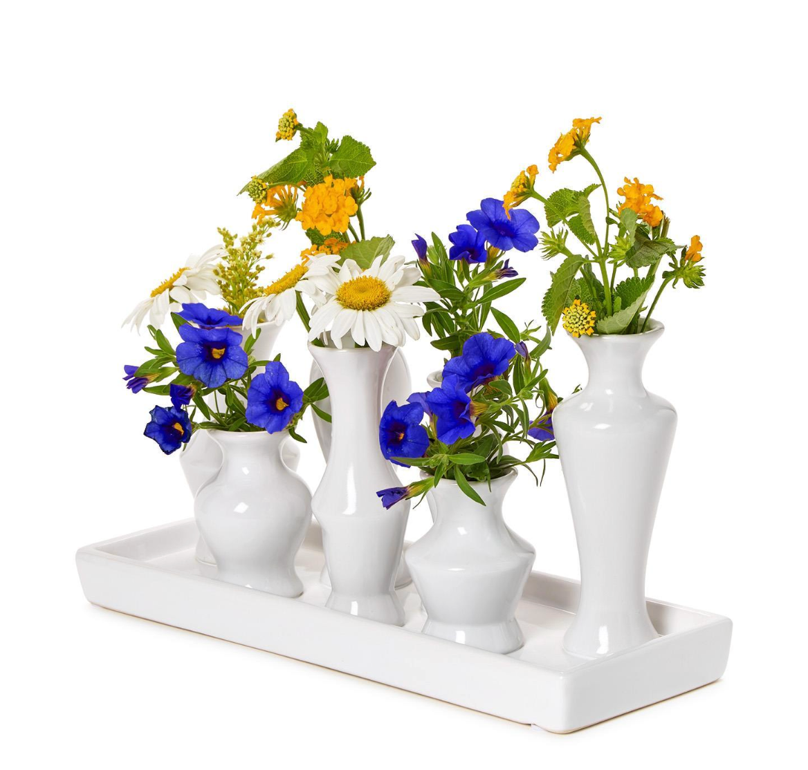 Symphony White Glaze Multi Vase with 7 Sections on Rectangular Platform