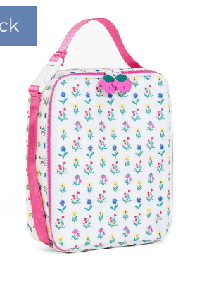 TRVL LUNCH BOX Insulated Lunch Bag