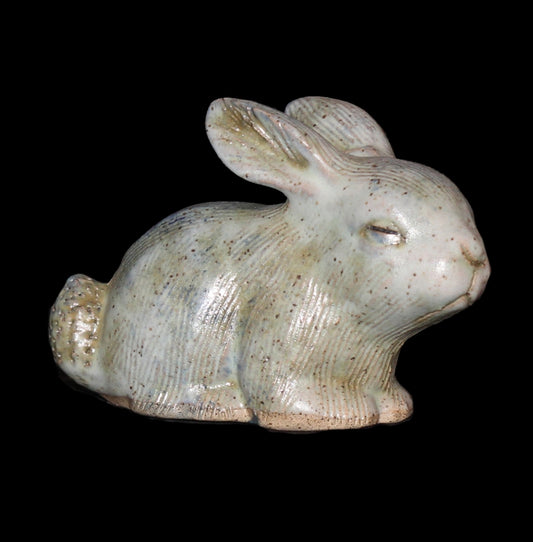 Scooter Bunny